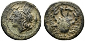 Bruttium, The Brettii, c. 214-211 BC. Æ (14mm, 1.75g, 12h). Head of river god l.; corn-ear behind. R/ Crab; above, cornucopiae and plectrum. HNItaly 1...