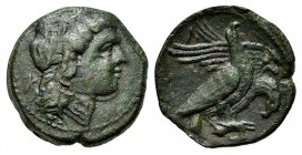 Sicily, Akragas. Phintias (287-279 BC). Æ (21mm, 6.66g, 5h). Laureate and beardless head of Zeus Hellanios r.; K behind. R/ Two eagles standing r. on ...