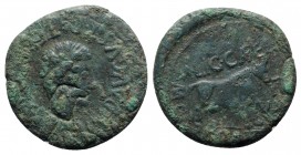Augustus (27 BC-AD 14). Spain, Calagurris. Æ (28mm, 10.34g, 12h). Laureate head r.; c/m: prow l. R/ Bull standing r. RPC I 444. Green patina, Good Fin...