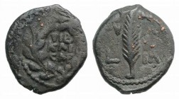Valerius Gratus (15-26 CE). Judaea, Procurators. Æ Prutah (15mm, 2.27g, 12h). Jerusalem, year 4 of Tiberius (17/8). TIB/ KAI/CAP in three lines within...