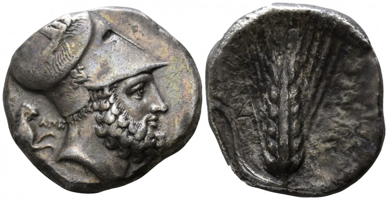 Lucania. Metapontion. ΑΠΗ- (Ape-), ΑΜΙ- (Ami-), magistrates circa 340-330 BC.
D...