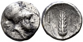 Lucania. Metapontion circa 340-330 BC. Nomos AR