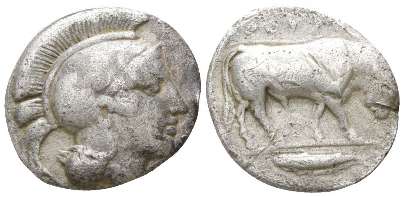 Lucania. Thourioi circa 425-400 BC.
1/3 Stater AR

16mm., 2,40g.

Head of P...