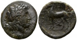 Bruttium. Nuceria circa 225-220 BC. Bronze Æ