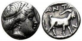 Troas. Antandros  circa 500-400 BC. Diobol AR