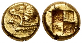 Ionia. Erythrai. Hekte. 550-500 BC. (Sng von Aulock-1942). (Sng Kayhan-737/38). Anv.: Head of Herakles left, wearing lion skin headdress. Rev.: Rough ...