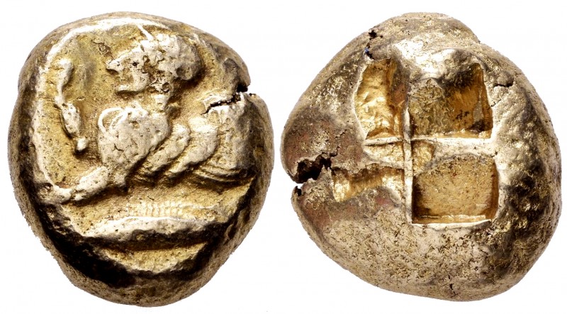 Mysia. Kyzikos. Stater. 550-500 BC. (Sng France-198). (Von Fritze-71). (Boston M...