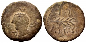 Arsa. Unit. 50 BC. Zalamea de la Serena (Badajoz). (Abh-131). (Acip-910). Anv.: Male head to left, around ARSA legend. Rev.: Spike on the right, Libya...
