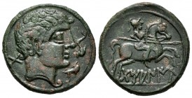 Tamaniu. Unit. 120-20 BC. Area of Aragon. (Abh-889). Anv.: Male head right, before two dolphins, behind TA. Rev.: Horseman with spear right, below Ibe...