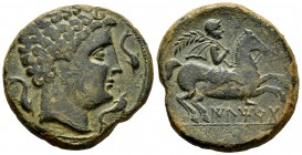 Iltirta. Unit. 200-20 BC. Lleida (Cataluña). (Abh-1461). (Acip-1236). (C-7). Anv.: Male head right flanked by three dolphins. Rev.: Horseman with palm...
