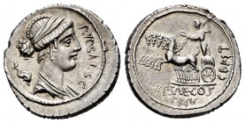 Plautius. P. Plautius Hypseus. Denarius. 60 BC. Rome. (Ffc-998). (Craw-420/2a). (Cal-1126). Anv.: P. YPSAE. S.C. before bust of Leuconoe draped right,...