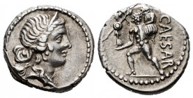Julius Caesar. Denarius. 47-46 BC. Galia. (Ffc-10). (Craw-458/1). (Cal-644). Anv.: Diademed head of Venus right. Rev.: CAESAR, Aeneas walking Ieft, ca...