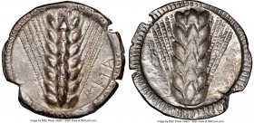 LUCANIA. Metapontum. Ca. 510-470 BC. AR stater (25mm, 12h). NGC Choice XF, edge smoothing, brushed. META, barley ear of seven grains; guilloche border...