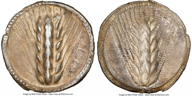 LUCANIA. Metapontum. Ca. 510-470 BC. AR stater (26mm, 7.44 gm, 12h). NGC (photo-...
