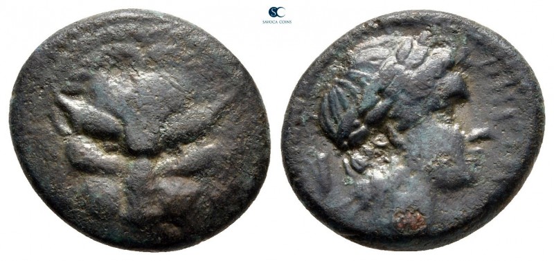 Bruttium. Rhegion circa 351-280 BC. 
Bronze Æ

15 mm, 2,70 g

Lion facing h...
