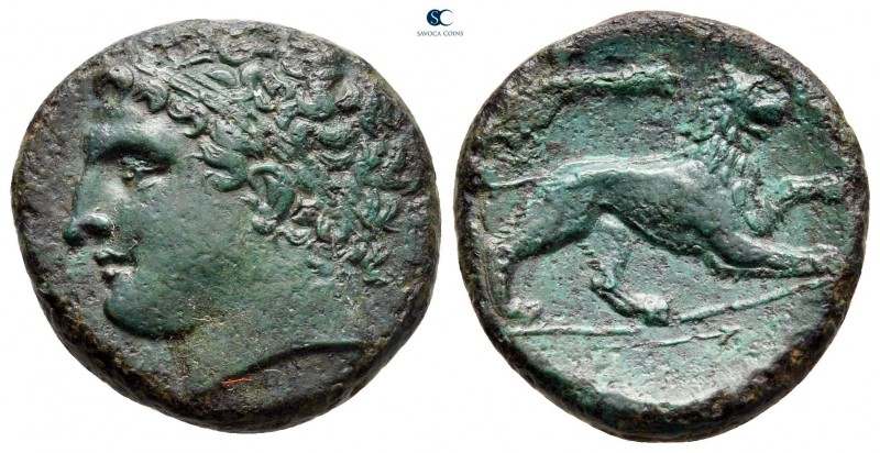 Sicily. Syracuse. Agathokles 317-289 BC. 
Bronze Æ

22 mm, 6,20 g

[ΣΥΡΑΚΟΣ...