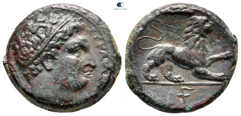Sicily. Syracuse. Agathokles 317-289 BC. 
Litra Æ

22 mm, 6,27 g

[ΣΥΡΑΚΟΣΙ...
