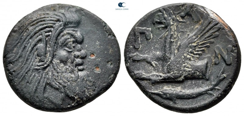 Cimmerian Bosporos. Pantikapaion circa 310-304 BC. 
Bronze Æ

23 mm, 6,20 g
...