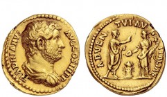 The Roman Empire 
 Hadrian, 117 – 138 
 Aureus circa 134-138, AV 7.19 g. HADRIANVS – AVGVSTVS Bare-headed and draped bust r. Rev. ADVEN – TVI AV – G...