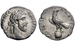 The Roman Empire 
 Commodus, 177 – 192 
 Divus Commodus. Denarius 195, AR 2.49 g. [M] COMM ANTO – N AVG PIV[S FEL] Laureate head r. Rev. CONSE – CRA...
