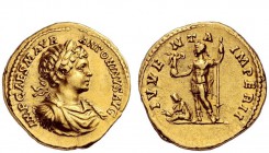 The Roman Empire 
 Caracalla, 198 – 217 
 Aureus 198-199, AV 7.11 g. IMP CAES M AVR – ANTONINVS AVG Laureate, draped and cuirassed bust r. Rev. IVVE...