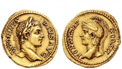 The Roman Empire 
 Caracalla, 198 – 217 
 Aureus 207, AV 7.08 g. ANTONINVS – PIVS AVG Laureate head r. Rev. PONTIF TR P – X COS II Bust of Roma l. w...