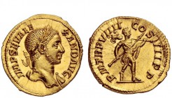 The Roman Empire 
 Severus Alexander, 222 – 235 
 Aureus 230, AV 5.98 g. IMP SEV ALE – XAND AVG Laureate bust r., with drapery on l. shoulder. Rev. ...