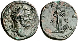 (194 d.C.). Septimio Severo. Dupondio. (Spink 6448) (Co. 30) (RIC. 680). 12,24 g. Pátina verde. MBC.