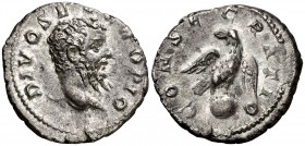 (211 d.C.). Septimio Severo. Denario. (Spink 7051) (S. 84) (RIC. 191C, de Caracalla). 3,15 g. MBC+.