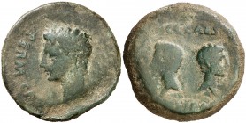 Iulia Traducta (Algeciras). Octavio Augusto. Dupondio. (FAB. 1610) (ACIP. 3351). 20,93 g. Pátina verde. MBC-.