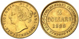 1888. Canadá. Terranova. Victoria. 2 dólares. (Fr. 1) (Kr. 5). 3,28 g. AU. Leves rayitas. EBC.