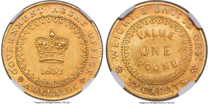 South Australia. British Colony - Victoria gold "Adelaide" Pound 1852 MS61 NGC, ...