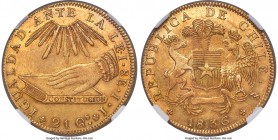 Republic gold 8 Escudos 1836 So-IJ MS61 NGC, Santiago mint, KM93, Fr-37, Onza-1631. Hand on Book type. Blessed with a fetching tangerine-gold tone tha...