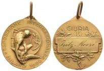 Milano 1906 Meaille in Gold Esposizione Internationale in Originalbox 15g Gold S.selten vorzüglich