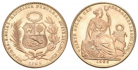Peru 1966 Libra in Gold 9.35g KM 229 unzirkuliert