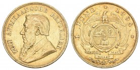 Süd Afrika 1 Pfund Gold 8.1g seltenes Jahr sehr schön bis vorzüglich