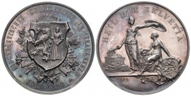 Schweiz, Thurgau. Frauenfeld. AR Medaille 1890 (45 mm, 38.41 g), auf das Eidgenössische Schützenfest in Frauenfeld. Richter 1250c. Originalbox FDC.