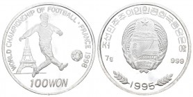 Korea 1995 100 Won Silber 7g selten Proof