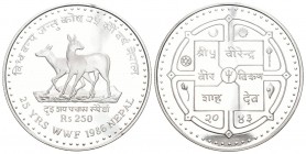 Nepal 1986 250 Rupee Silber 19,44g KM 1026 Proof