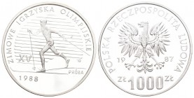 Polen 1988 1000 Zlotych Silber 16,5g Probe KM PR 581 unzirkuliert