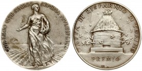 Italy Medal (1950) Turin Savings Bank Award - what an abundance of Lego What Spargo. Silver. Weight approx: 36.58 g. Diameter: 43 mm.