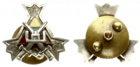 Lithuania Miniature Badge (1927) of the Lithuanian Armed Forces Volunteer Union. The Union was established in 1927. Forgiveness: K. G. D. Silver and c...