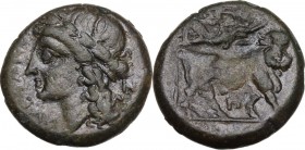 Greek Italy. Samnium, Southern Latium and Northern Campania, Suessa Aurunca. AE 19 mm, circa 265-240 BC. Obv. Laureate head of Apollo left. Rev. Man-h...