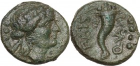 Greek Italy. Lucania, Poseidonia-Paestum. AE Triens, 264-241 BC. Obv. Female head right, wearing ivy-wreath. Rev. Cornucopiae. HN Italy 1209; HGC 1 12...
