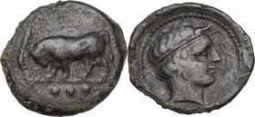 Sicily. Gela. AE Tetras, 420-405 BC. Obv. Bull left; in exergue, three pellets. Rev. Head of river god right, horned, diademed. CNS III 12; HGC 2 379....