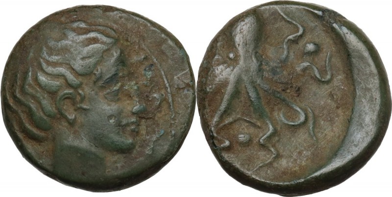 Sicily. Syracuse. Second Democracy (466-405 BC). AE Tetras, after 425 BC. Obv. H...