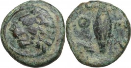 Continental Greece. Thrace, Chersonesos. AE 12 mm. Circa 386-309 BC. Obv. Lion's head left. Rev. Barley corn. SNG Cop. 844/6. AE. 1.21 g. 12.00 mm. VF...