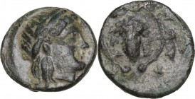 Greek Asia. Mysia, Perperene. AE 9 mm. Circa 4th century BC. Obv. Laureate head of Apollo right. Rev. Grape bunch on vine. SNG BN 2310. AE. 0.58 g. 9....