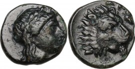Greek Asia. Troas, Antandros. AE 12 mm, 440-400 BC. Obv. Head of Apollo right, laureate. Rev. Head of lion right. BMC 8; SNG Cop. 218. AE. 1.68 g. 12....