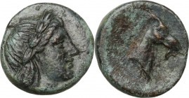 Greek Asia. Aeolis, Aegae. AE 17 mm, 3rd century BC. Obv. Head of Apollo right, laureate. Rev. Head of goat right. SNG Cop. 1; SNG von Aulock 1592. AE...